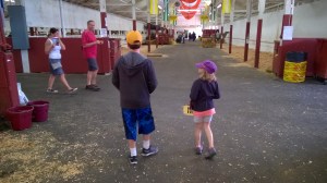 State Fair